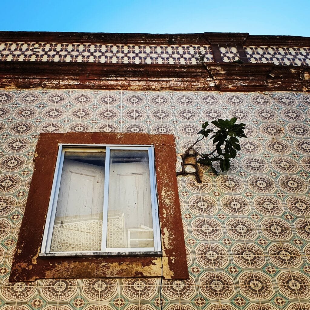 Fig Branch Old Helena Pension, Casa Amor Olhão.